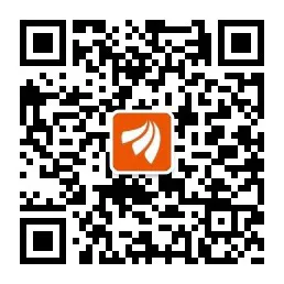 社媒帖子点燃欧洲半导体妖股 晶圆厂股票突遭资金疯抢